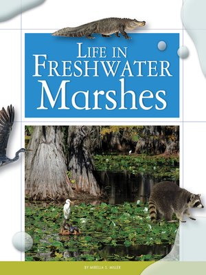 cover image of Life in Freshwater Marshes